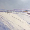 /album/galerie-photos/solitude-hivernale-jpg/
